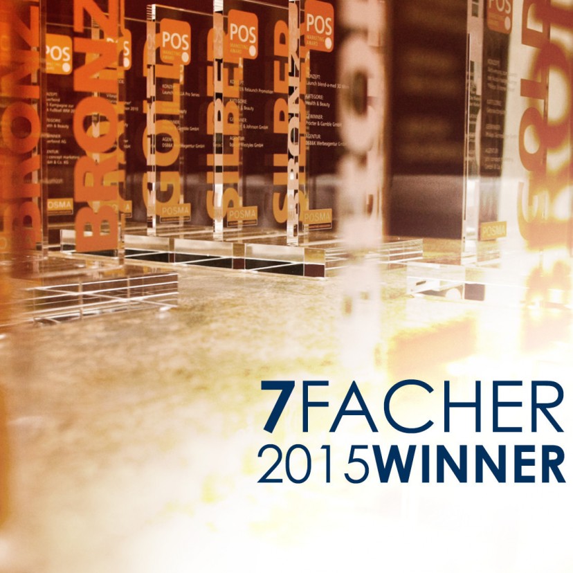 7 POSMA Awards für Stein