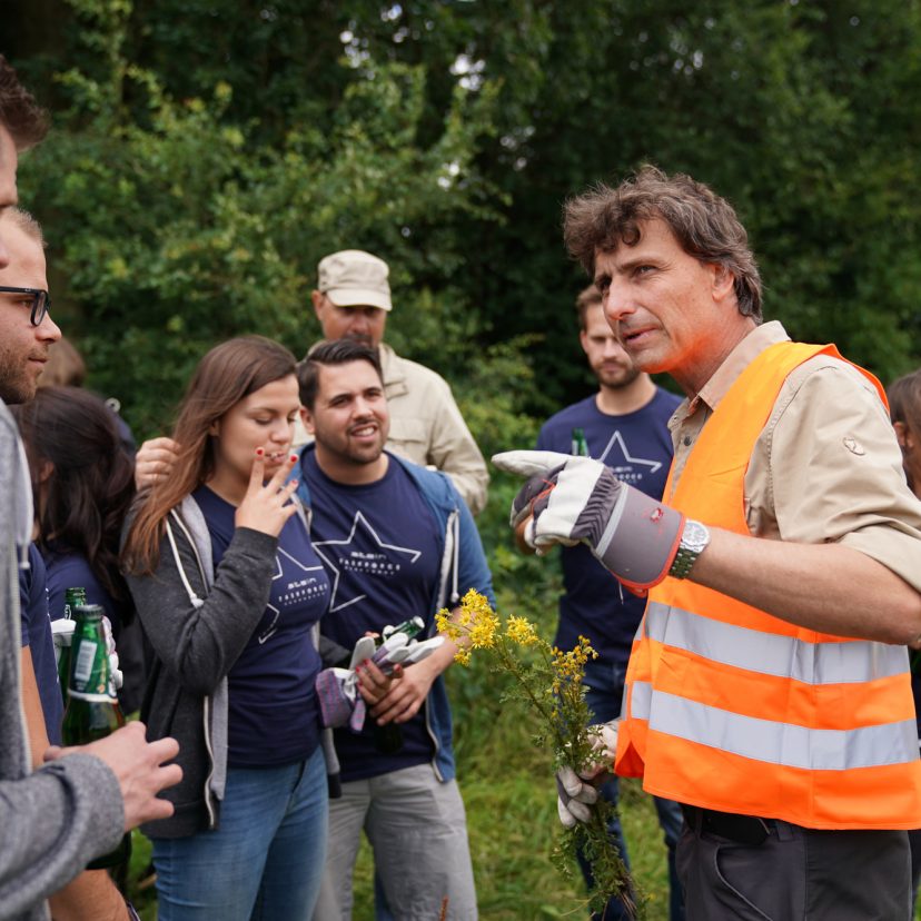 Stein Einsatz im Höltigbaum
